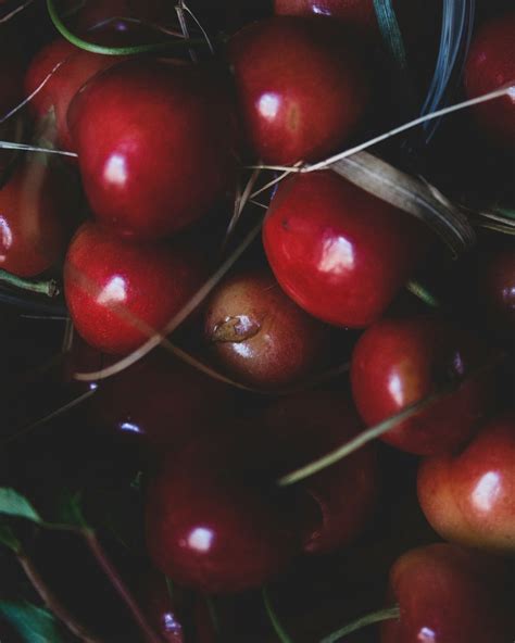 Introduction: Embrace the Richness of Dark Cherry