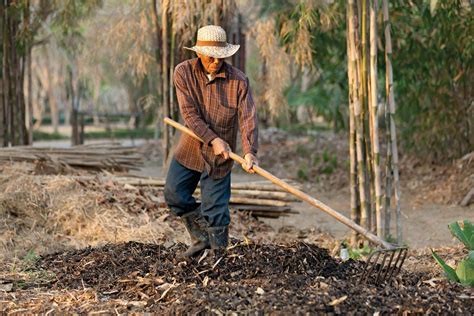 Introduction: Embracing Sustainable Agriculture with Manure Fertilizer