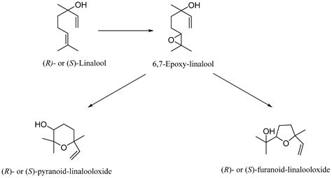 Introduction: Embracing the Allure of Linalool