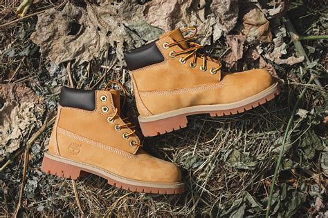 Introduction: Embracing the Allure of Timberlands