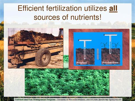 Introduction: Empowering Farming with Efficient Fertilization