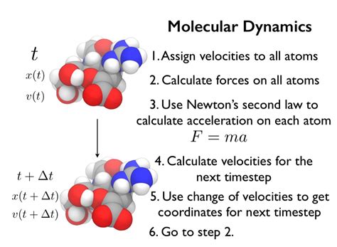 Introduction: Exploring the Dynamics of Molecular Motion