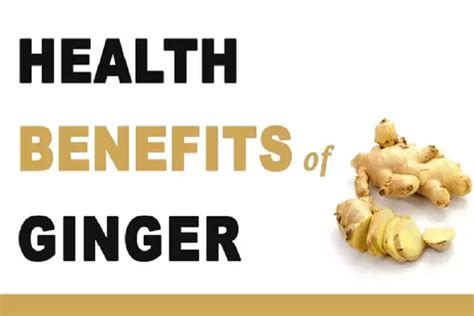 Introduction: Ginger - A Culinary and Medicinal Marvel