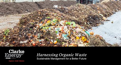 Introduction: Harnessing the Power of Organic Waste