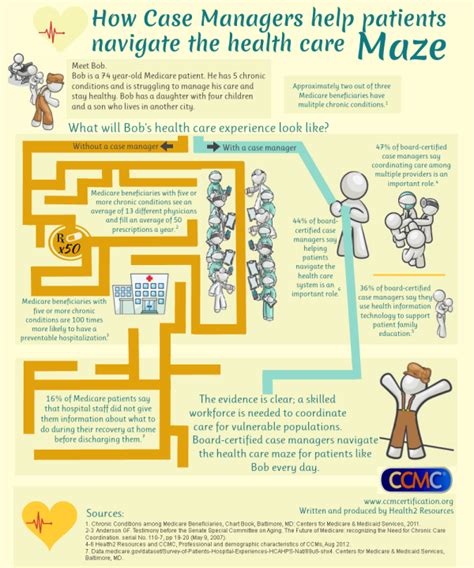 Introduction: Navigating the Maze of Pet Healthcare Records