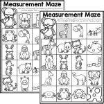 Introduction: Navigating the Measurement Maze