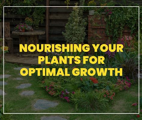 Introduction: Nourishing Shrubs for Optimal Growth