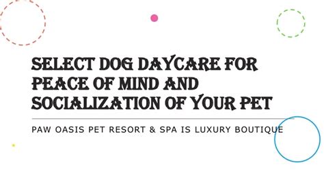 Introduction: Peace of Mind for Pet Owners