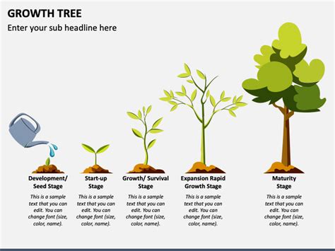 Introduction: Setting the Stage for Plant Success