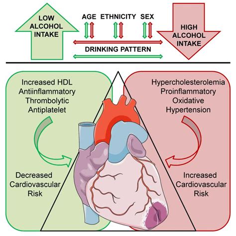 Introduction: The Complex Correlation Between Alcohol Intake and Honesty