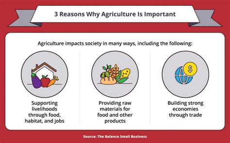 Introduction: The Cornerstone of Agriculture