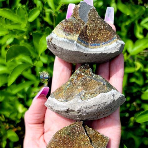 Introduction: The Enchanting Rainbow of Pyrite