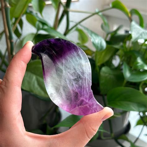 Introduction: The Enchanting World of Fluorite Bowls