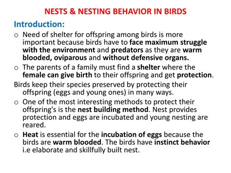 Introduction: The Essential Role of Bird Nests