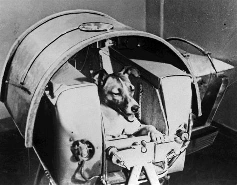 Introduction: The Grand History of Laika, the Space Dog