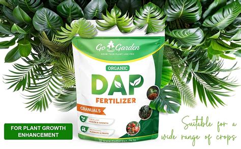 Introduction: The Growing Need for DAP Fertilizer