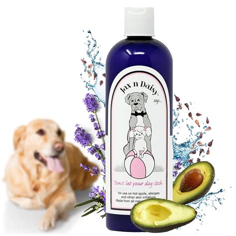 Introduction: The Importance of Dog Lotion