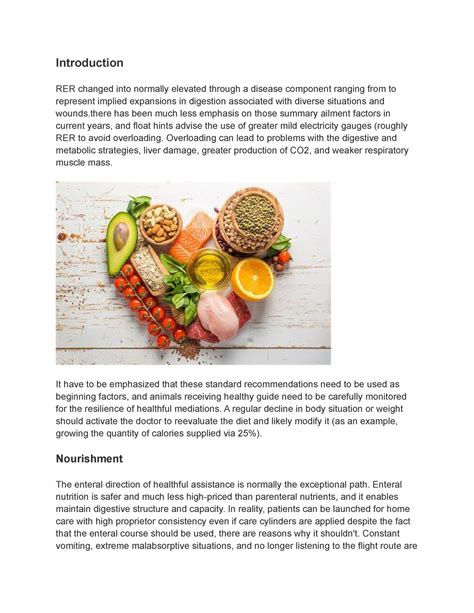 Introduction: The Importance of Nourishment for University Success