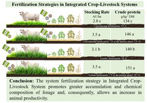 Introduction: The Importance of Pasture Fertilization