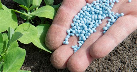 Introduction: The Importance of Sustainable Fertilizer Practices