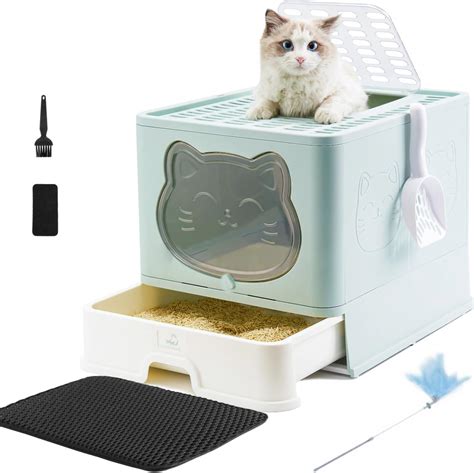 Introduction: The Importance of a Suitable Enclosed Kitty Litter Box