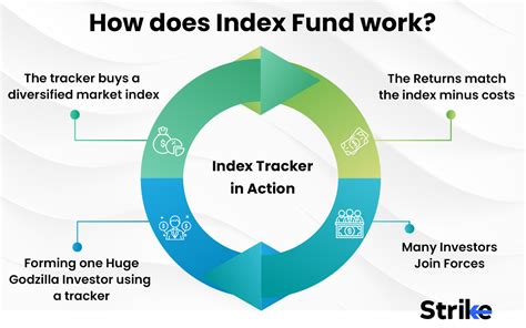 Introduction: The Index Fund Landscape