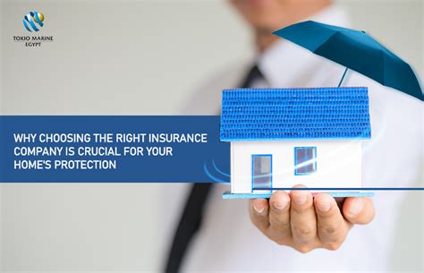 Introduction: The Need for Home Protection