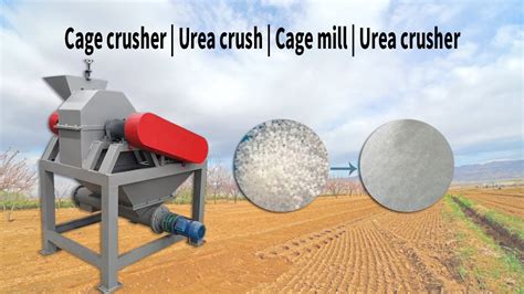 Introduction: The Need for Urea Crushing