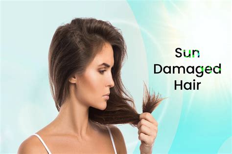 Introduction: The Plight of Damaged Hair