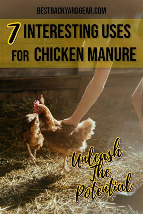 Introduction: The Potential of Chicken Manure