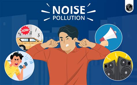 Introduction: The Problem with Noise Pollution