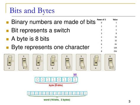 Introduction: The Profound Impact of Bits and Bytes