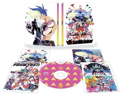 Introduction: The Promare Saga: A Blaze of Inspiration