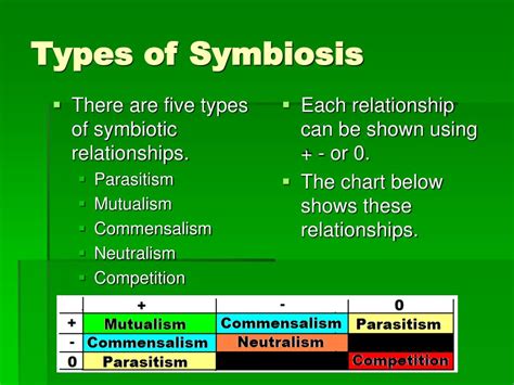 Introduction: The Psychology of Darkness and Symbiosis