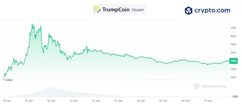 Introduction: The Rise of Reddit Trump Coin