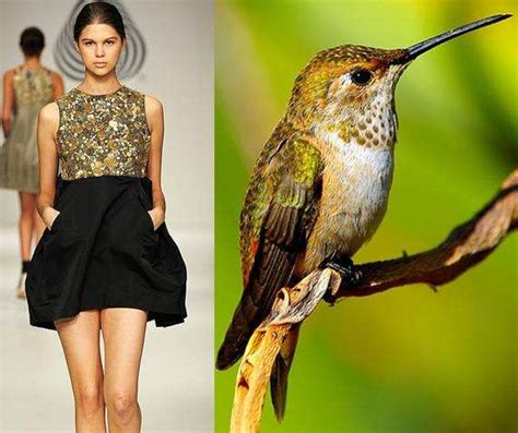 Introduction: The Rise of a Birdie-Inspired Trend