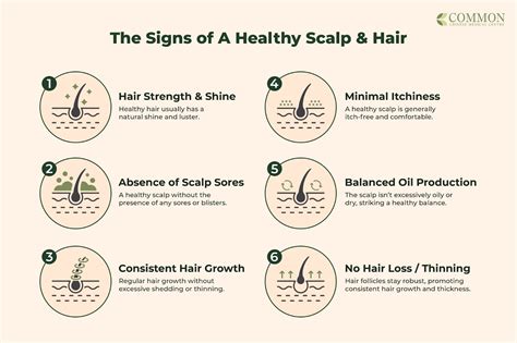 Introduction: The Scalp's Significance in Hair Health