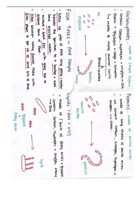 Introduction: The Significance of IGCSE