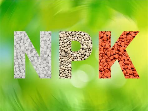 Introduction: The Significance of NPK Fertilizers