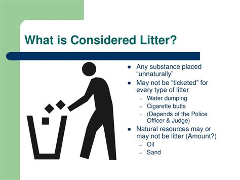 Introduction: The State of Littering in Singapore