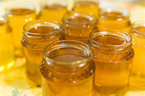 Introduction: The Sweet Symphony of Honey