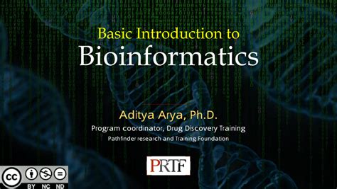 Introduction: The Visionary Researcher Advancing Bioinformatics and Beyond