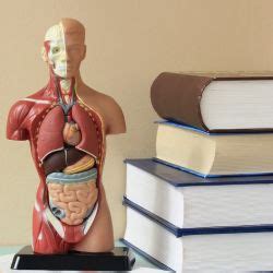 Introduction: Uncovering the Secrets of Human Life through Lab Explorations
