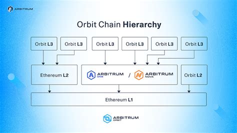 Introduction: Understanding the Dynamics of Arbitrum's On-Chain Activity