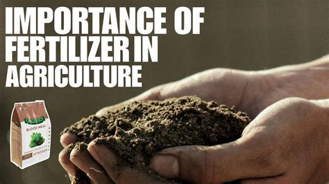 Introduction: Understanding the Importance of Fertilizer Mixers