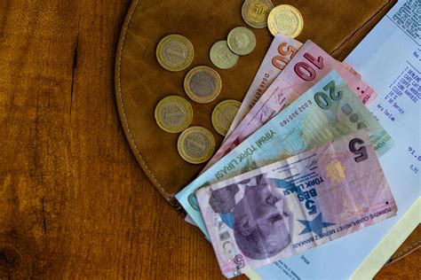 Introduction: Understanding the Lira and the INR