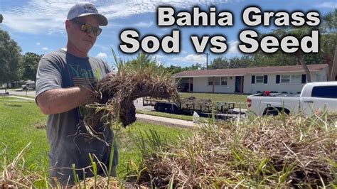 Introduction: Unlock the Secrets of a Thriving Bahia Grass Lawn