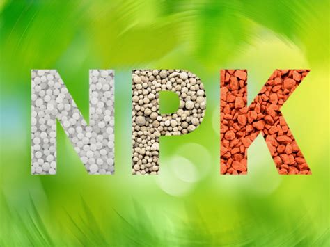 Introduction: Unlocking the Power of NPK Fertilizers