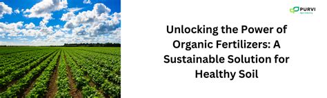 Introduction: Unlocking the Power of Organic Soil Enhancement