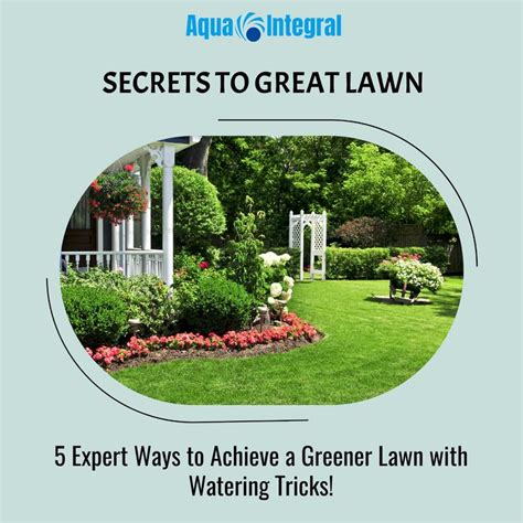 Introduction: Unlocking the Secrets to a Verdant Lawn